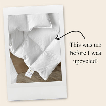 Set of two upcycled cushions, burnt orange stripes, feather inners included